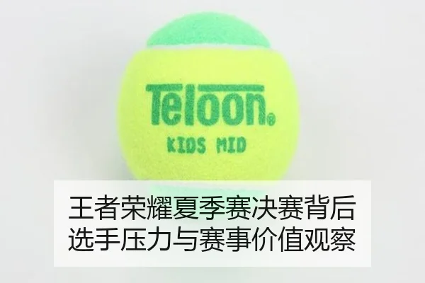王者荣耀夏季赛决赛背后 选手压力与赛事价值观察